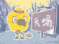 如皋晟东物流有限公司