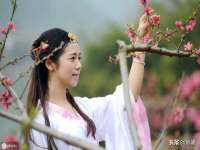 如皋晟东物流有限公司