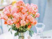 如皋晟东物流有限公司