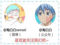 如皋晟东物流有限公司