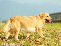 如皋晟东物流有限公司