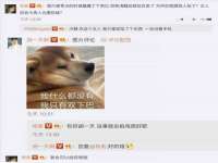 如皋晟东物流有限公司