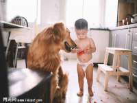 如皋晟东物流有限公司