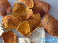 如皋晟东物流有限公司