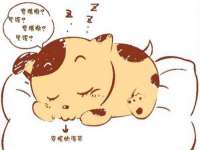 如皋晟东物流有限公司