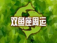 如皋晟东物流有限公司