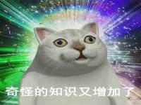 如皋晟东物流有限公司