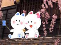 如皋晟东物流有限公司