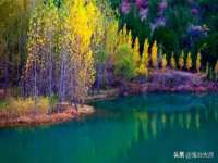 如皋晟东物流有限公司