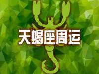 如皋晟东物流有限公司
