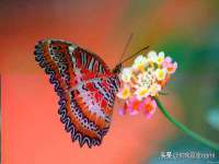 如皋晟东物流有限公司