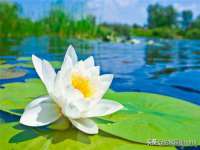 如皋晟东物流有限公司
