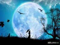 如皋晟东物流有限公司