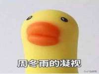 如皋晟东物流有限公司