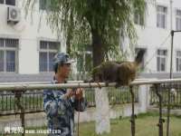 如皋晟东物流有限公司