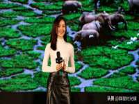 如皋晟东物流有限公司