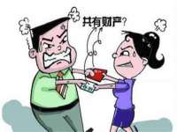 如皋晟东物流有限公司