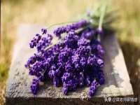 如皋晟东物流有限公司