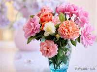 如皋晟东物流有限公司