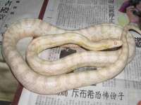 如皋晟东物流有限公司