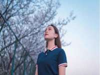 如皋晟东物流有限公司