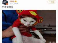 如皋晟东物流有限公司