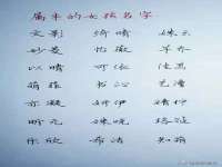 如皋晟东物流有限公司