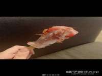 如皋晟东物流有限公司