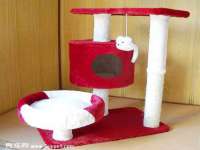 如皋晟东物流有限公司